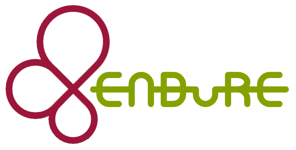 Endure Project